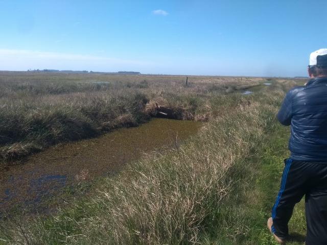 Área de terra 154 ha em Mostardas-Rs - Foto 2