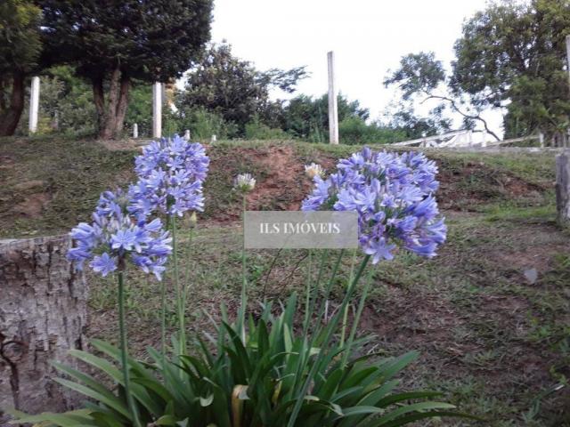 Chácara em mandirituba - Foto 3