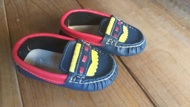 sapatinho de cravinho