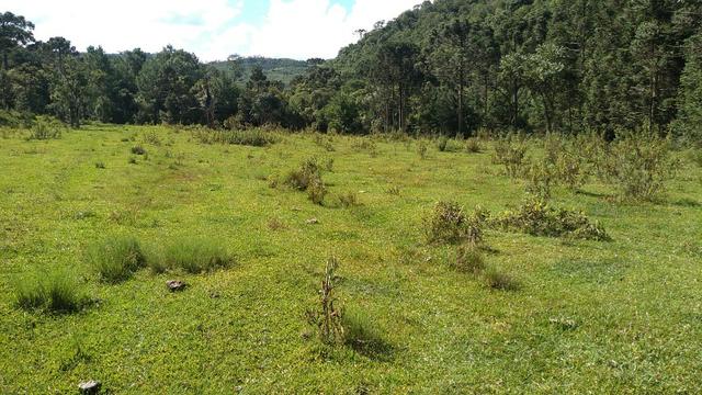 Fazenda Terreno Rural Sitio Chácara Gado - Foto 18