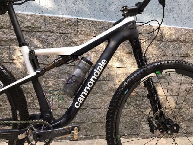 cannondale world cup