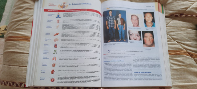Corpo Humano - Fundamentos de Anatomia e Fisiologia - Foto 3