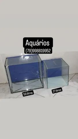 Cobrinha Kuhli Loach - Aquarismo Sergipe