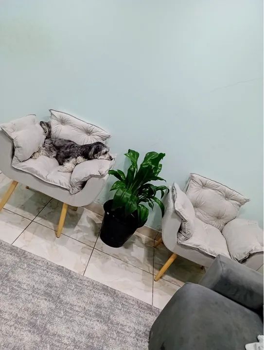 (SÓ PAGA NA ENTREGA) VÁRIOS MODELOS DE POLTRONAS, MACA, ETC - Foto 2