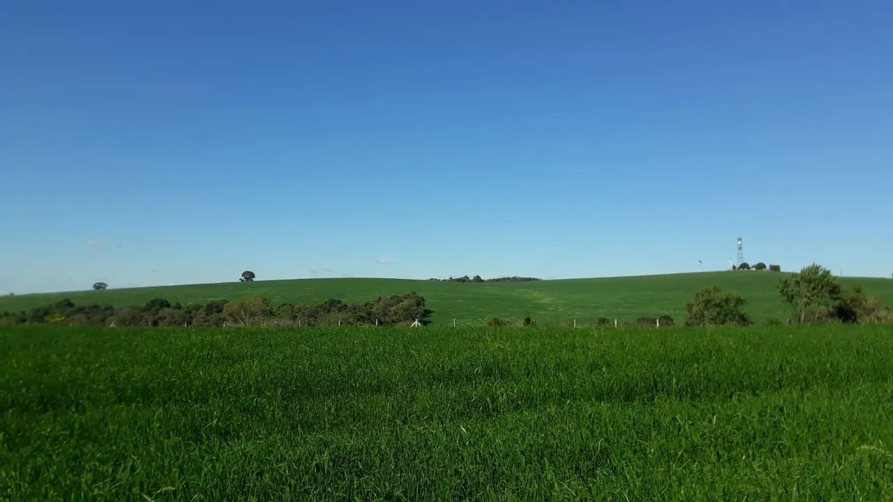 Vend fazenda  - Foto 5