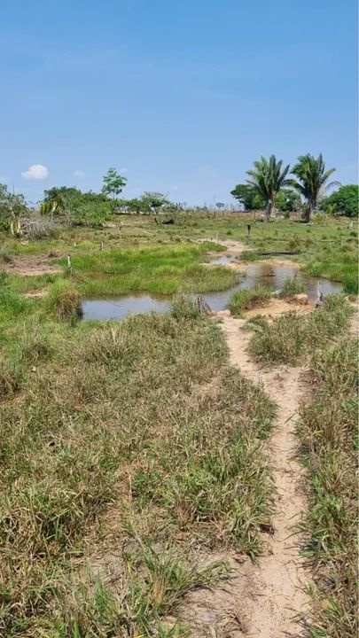 TERRA A VENDA 43,5 ALQUEIRES EM MACHADINHO  - Foto 3