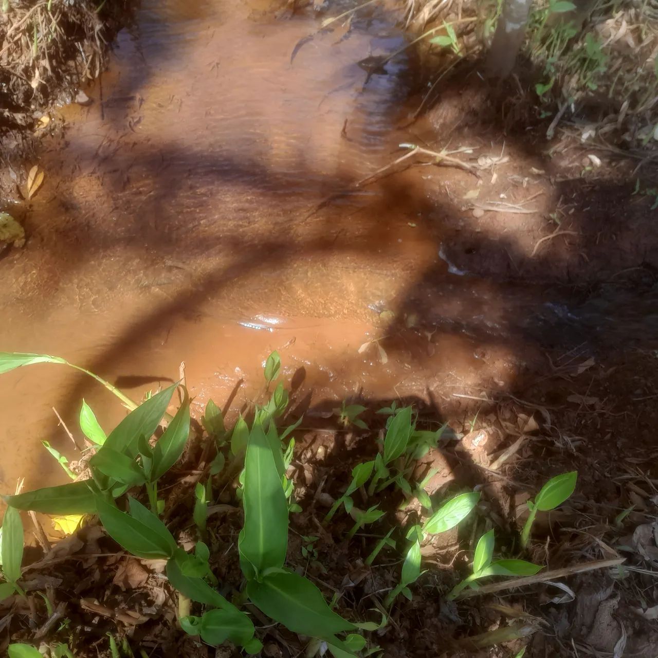 Terreno com água no fundo 