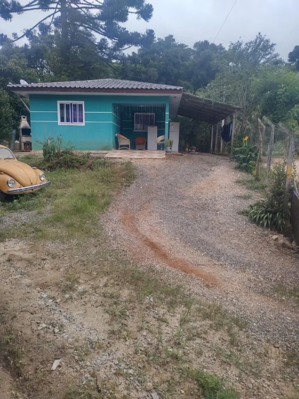 Foto - Colombo - Butiatumirim