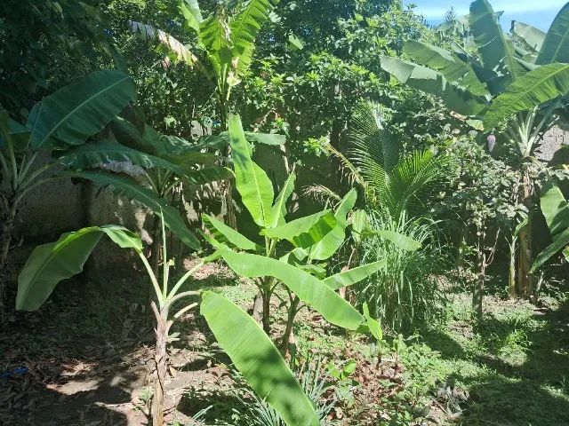 Vendo Terreno em Boa Esperança - Seropedica - Foto 4