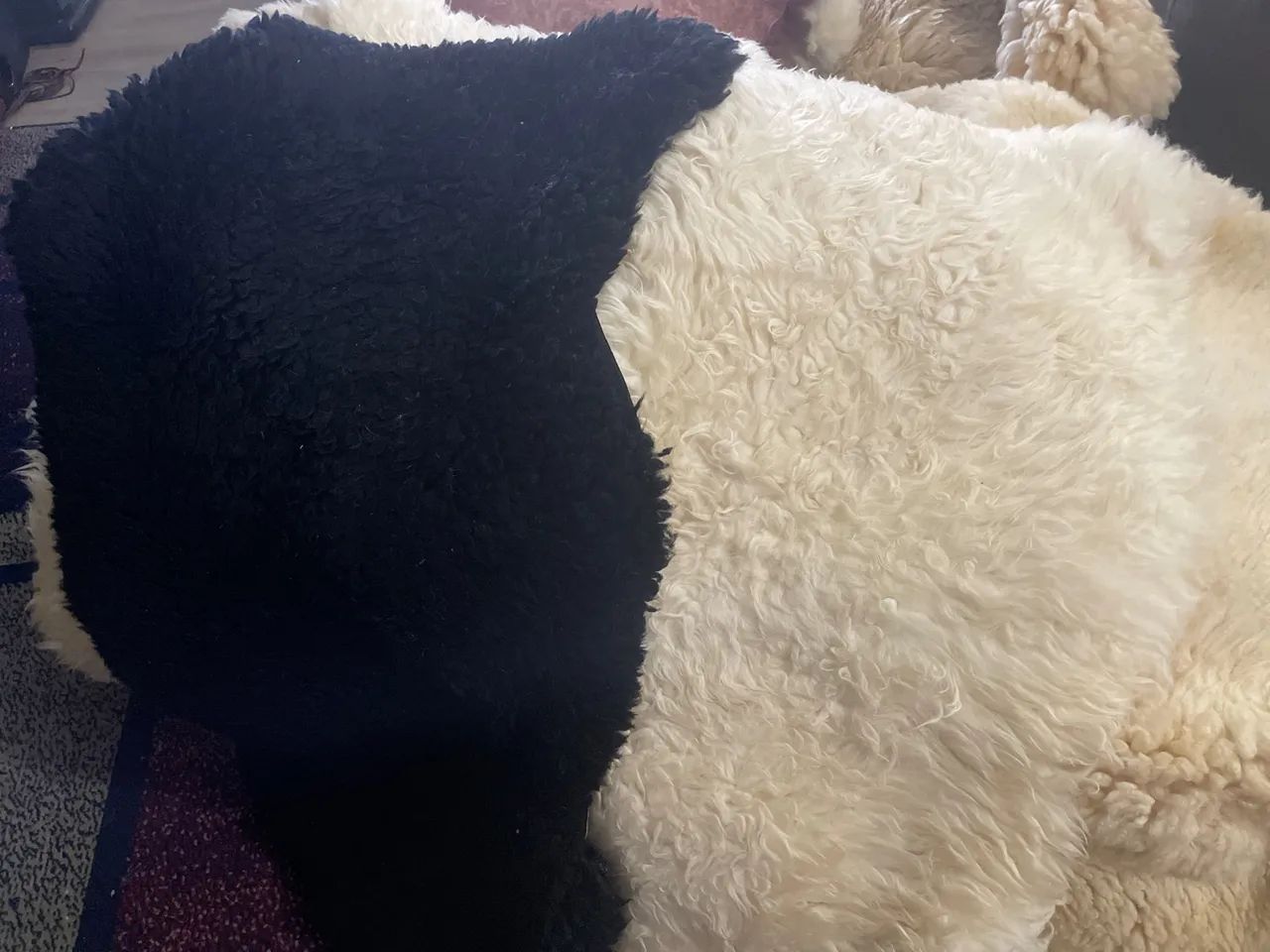Tapetes de pele de carneiro  - Foto 4