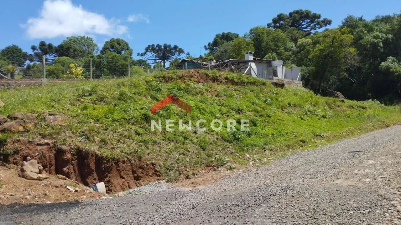 Lote em Rua E - Salto Eletra - São Francisco de Paula/RS - Foto 2