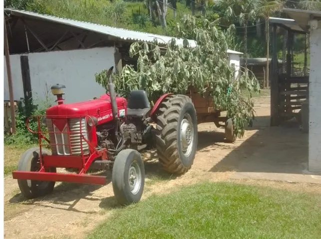 Trator MF 65X com carroção e plataforma agricola