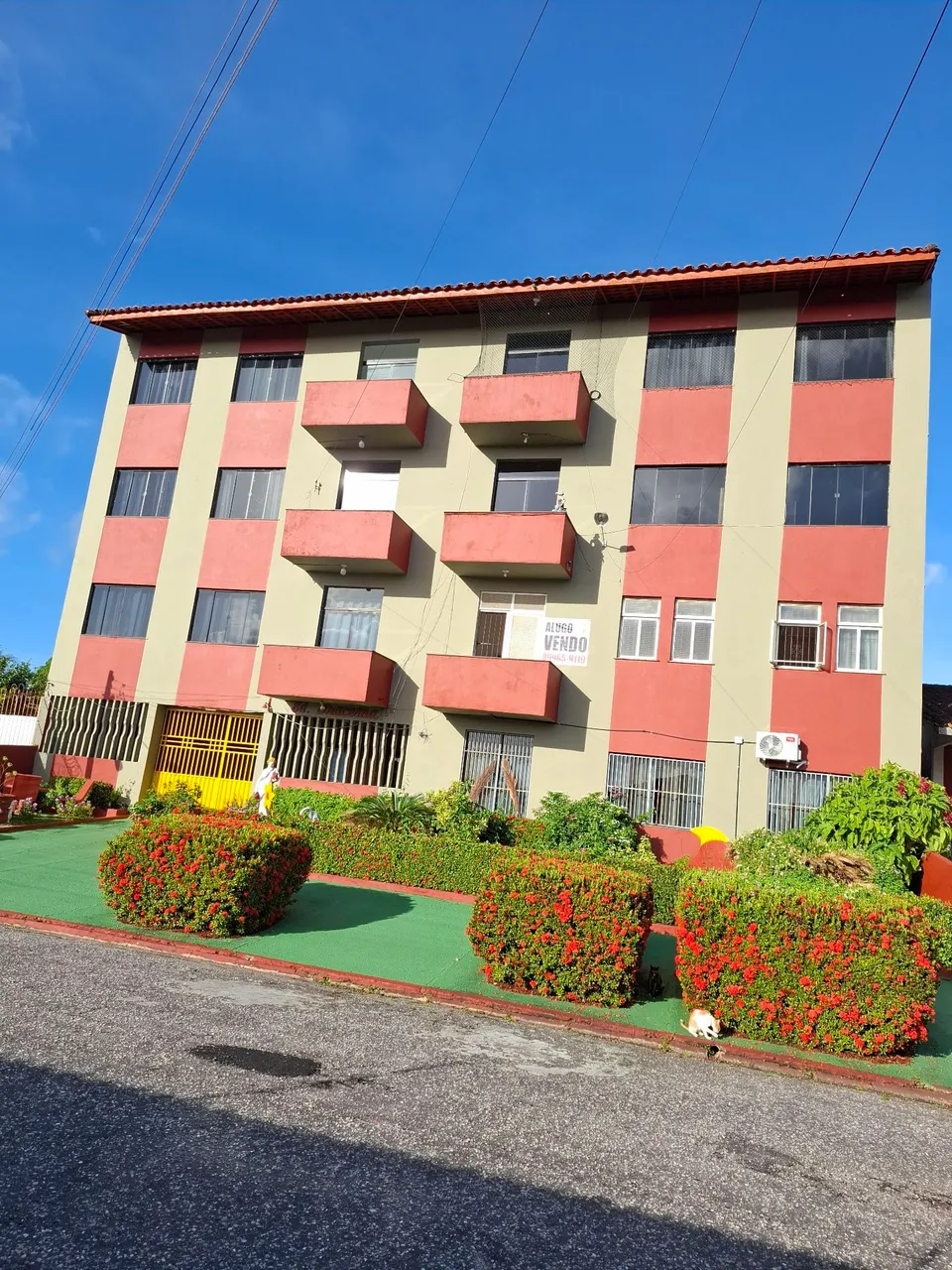 Alugo apartamento em salinas contrato anual
