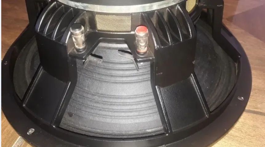 Vendo par de Auto falantes 15 Polegadas Wpu Selenium 450 wats cada em 8 Ohms. - Foto 3