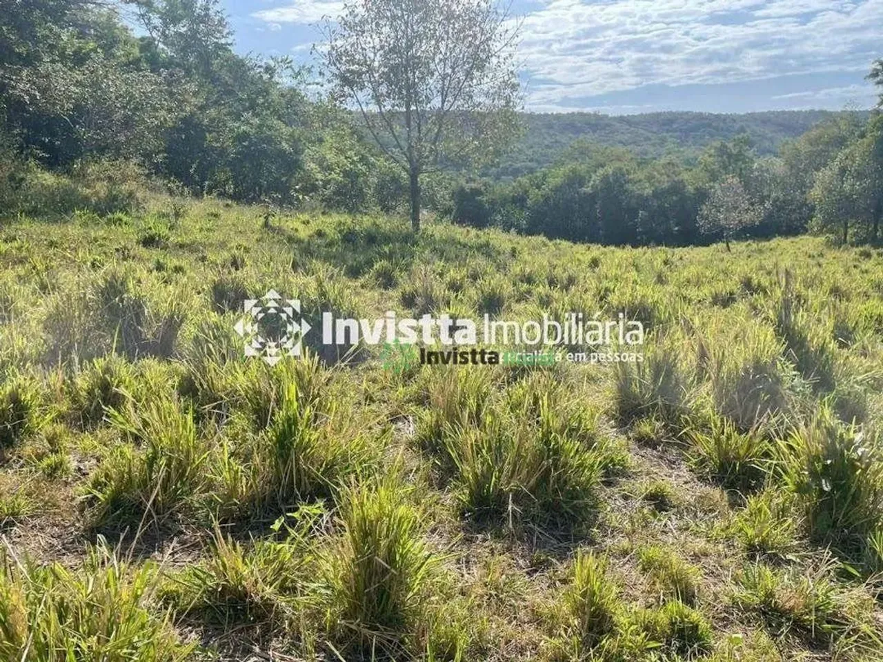 Fazenda Residencial à venda, Luzimangues, Porto Nacional - FA0411.
