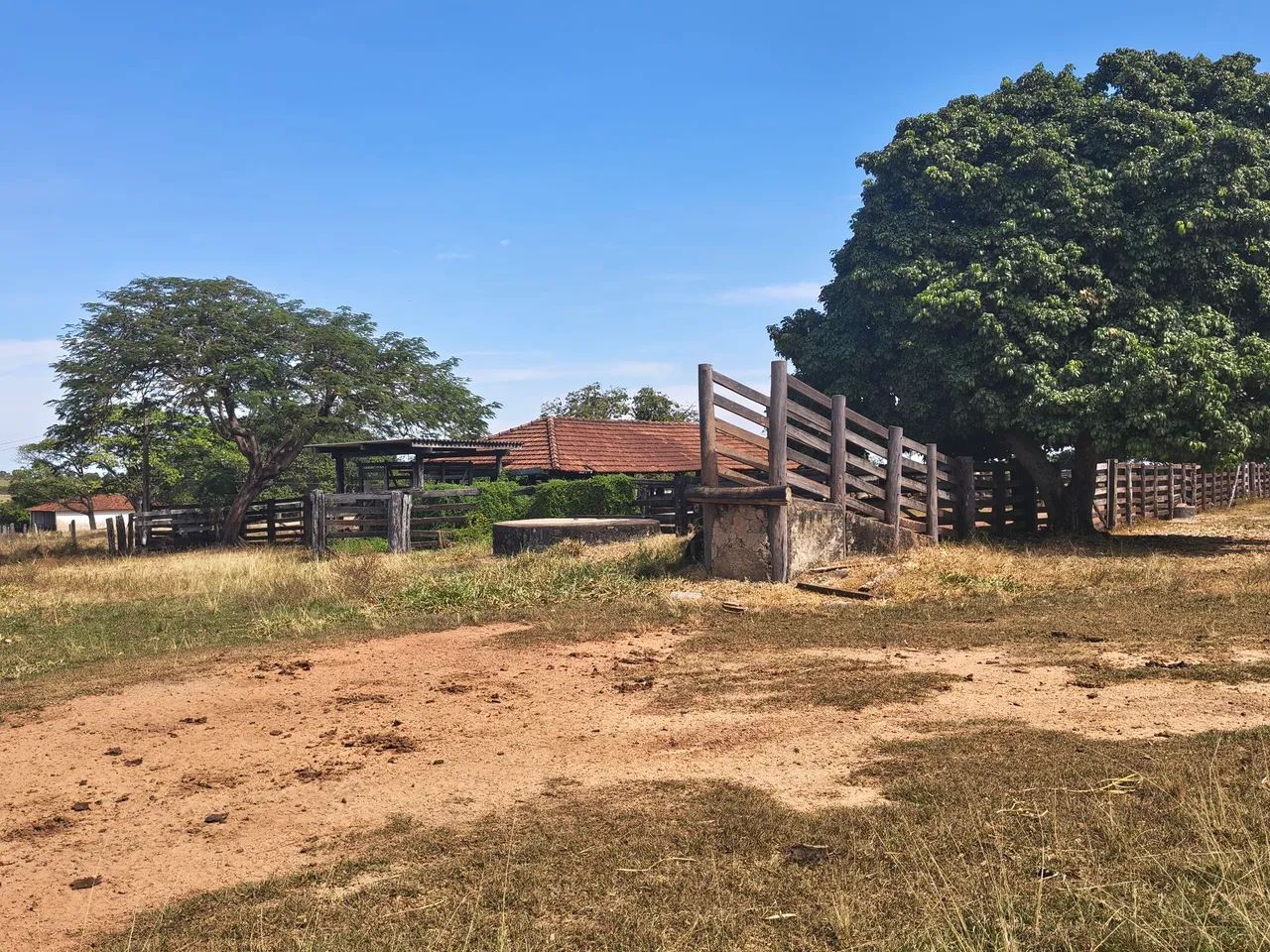 Fazenda Extra 90 Alqueires - Dupla Aptidão  - Foto 3