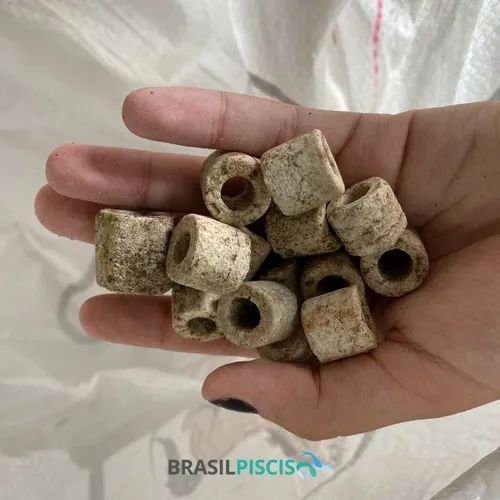 Mídia Biológica Bio Piscis 1kg Usada - Foto 3