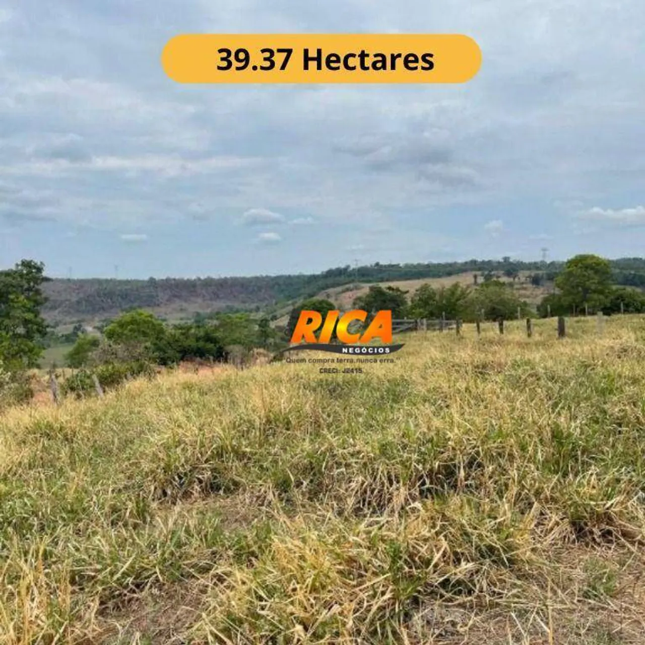 Vende-se Excelente Sítio em Ouro Preto do Oeste-RO com 43 hectares.