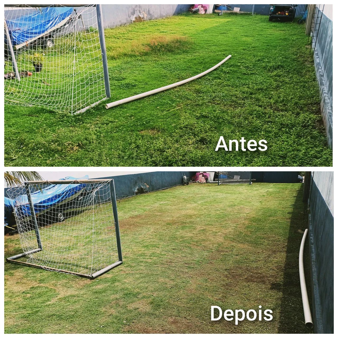 Jardinagem / jardineiro - Foto 2