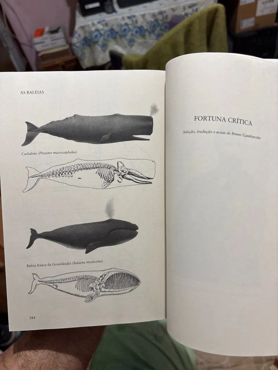 Moby Dick - Herman Melville - Foto 3