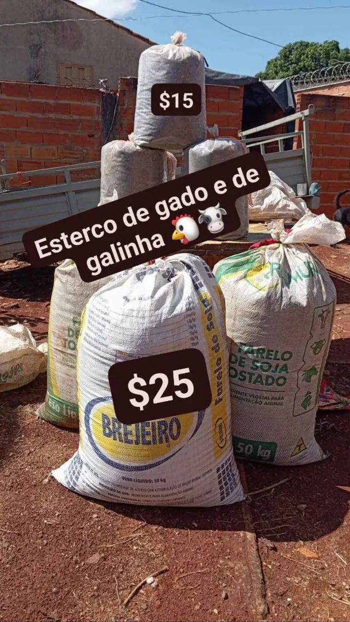 Esterco gado e galinha 