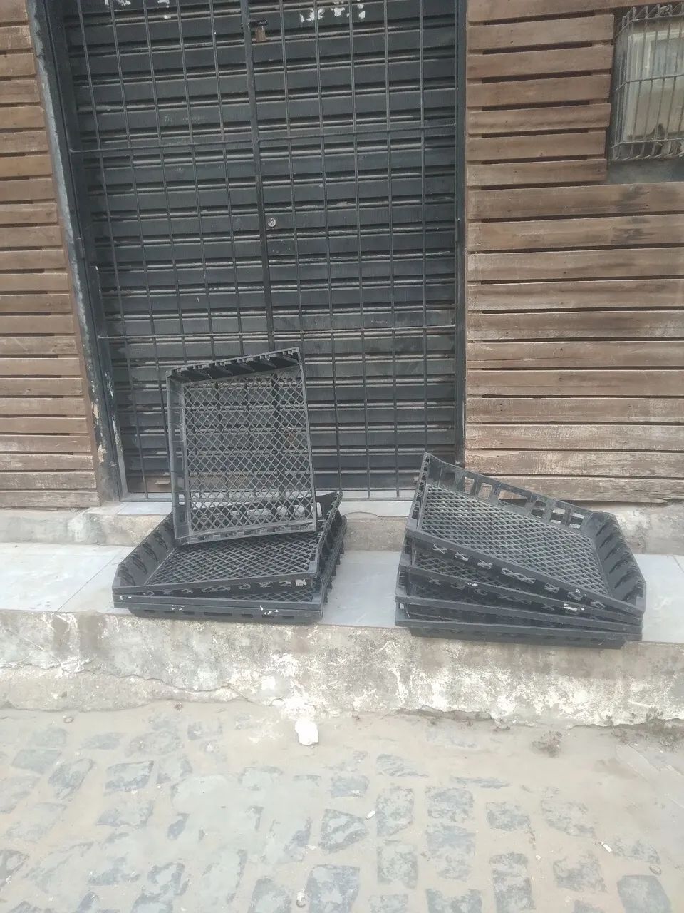 Galeias muito forte.