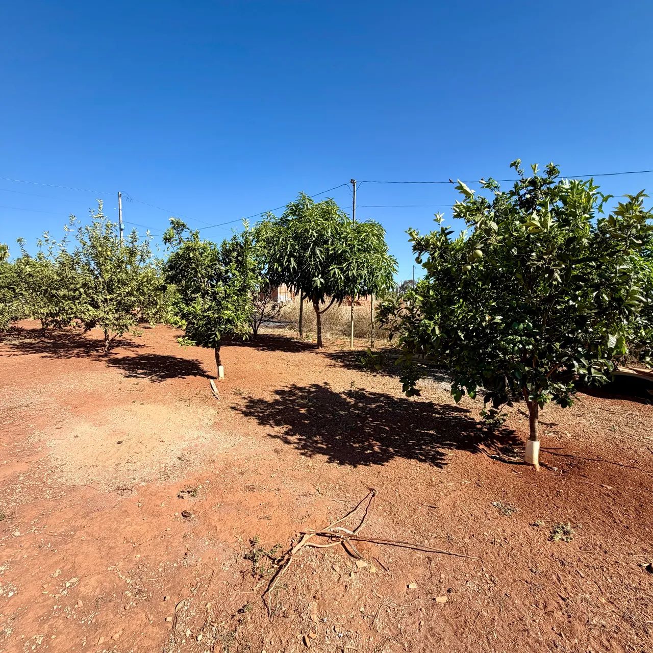 Chácara com Casa 3/4 - A 32 km de Goiânia  - Foto 3