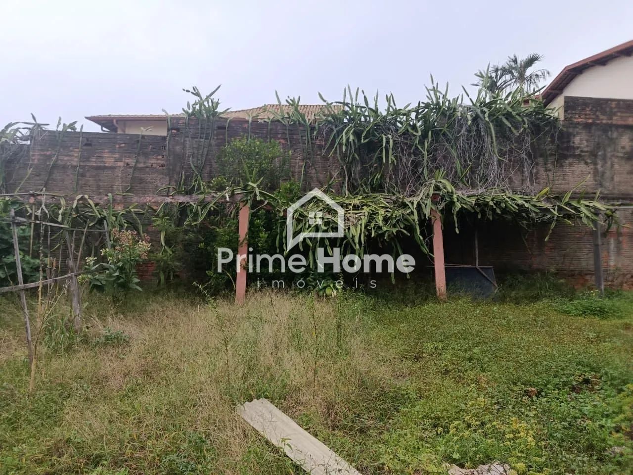 terreno - Jardim dos Oliveiras - Campinas - Foto 5