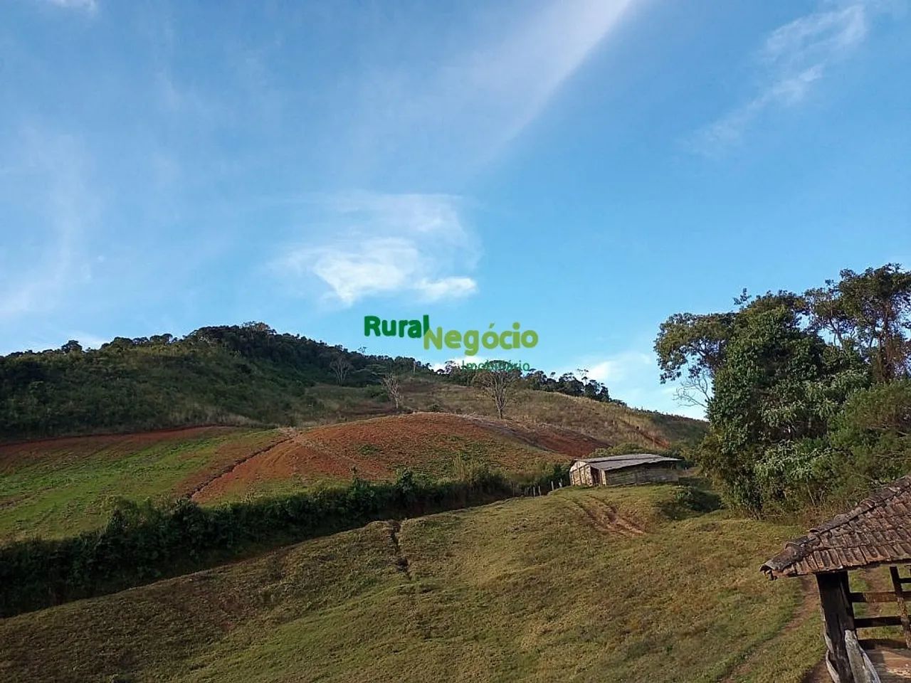 SÍTIO SEM BENFEITORIAS EM MARIA DA FÉ-MG - Foto 4