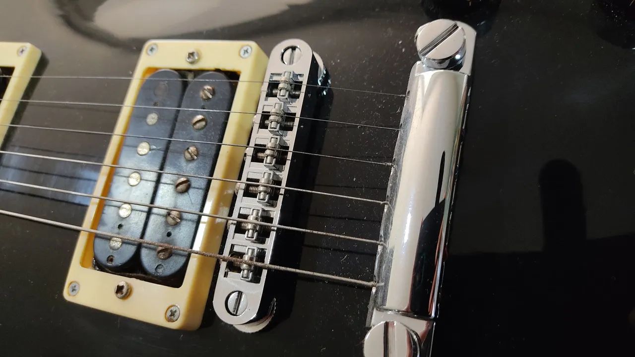 Guitarra Steinberg 