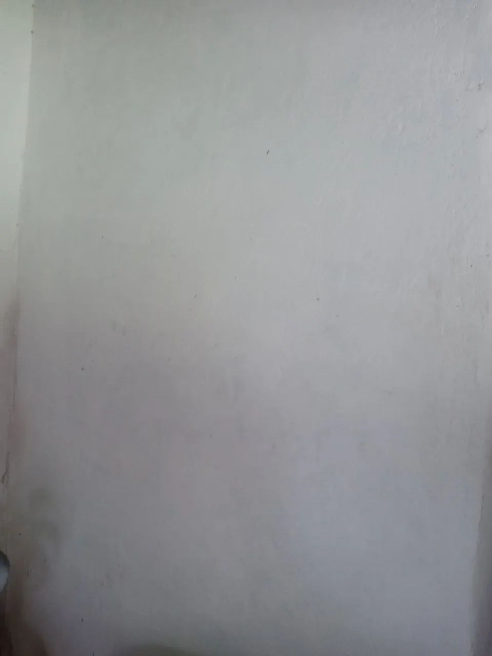 Pintura em ap.