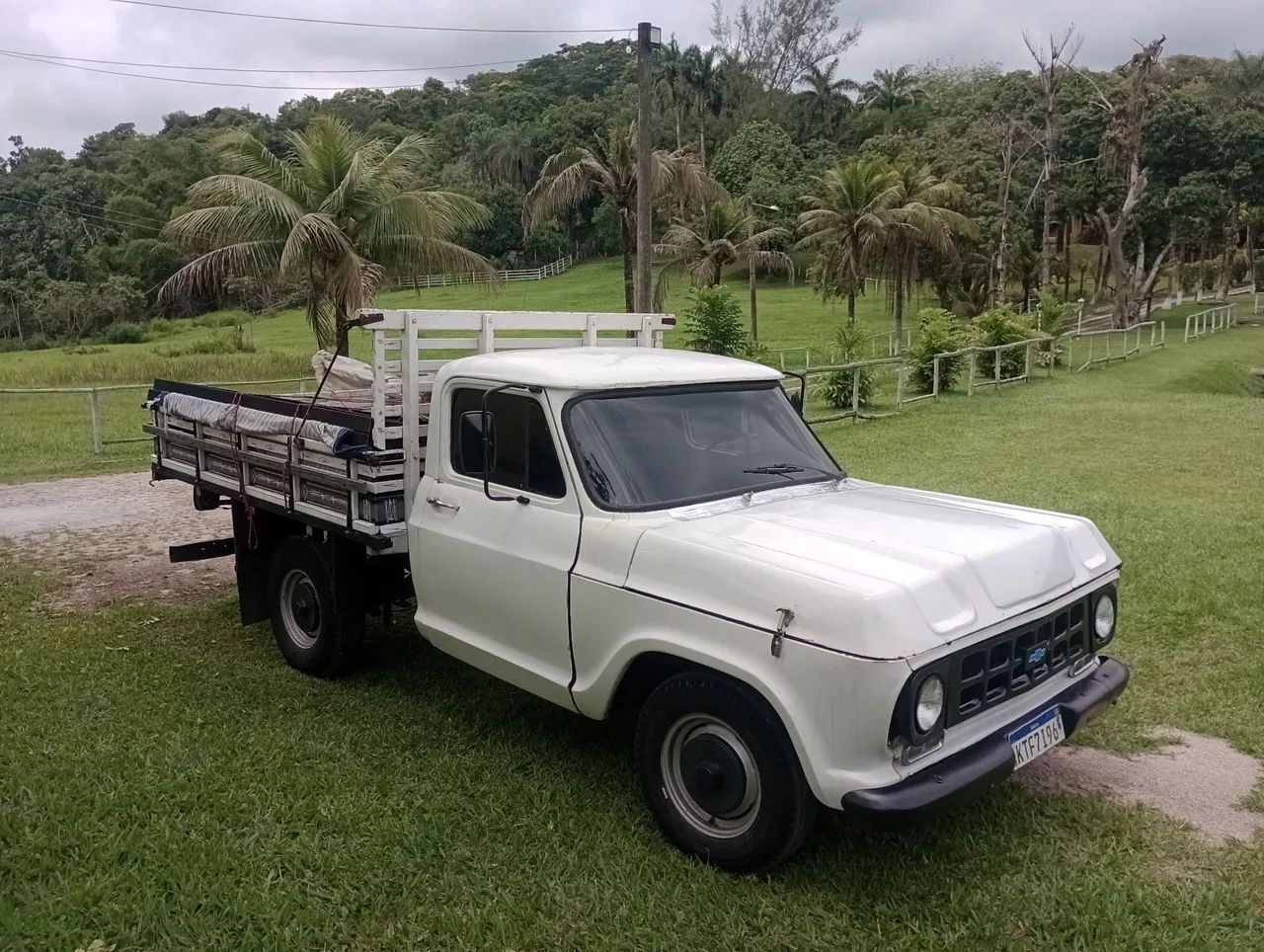 Chevrolet D-10 Diesel 1981