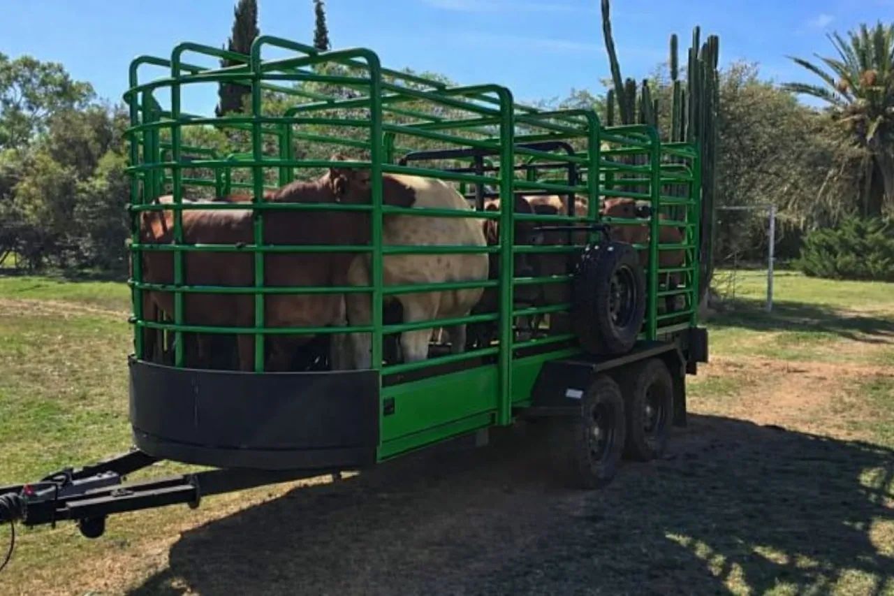 Trailer boiadeiro 4.5 mts carga reboque de carga