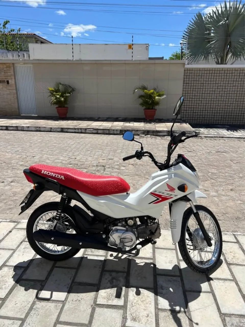 pop 2026  - Foto 4