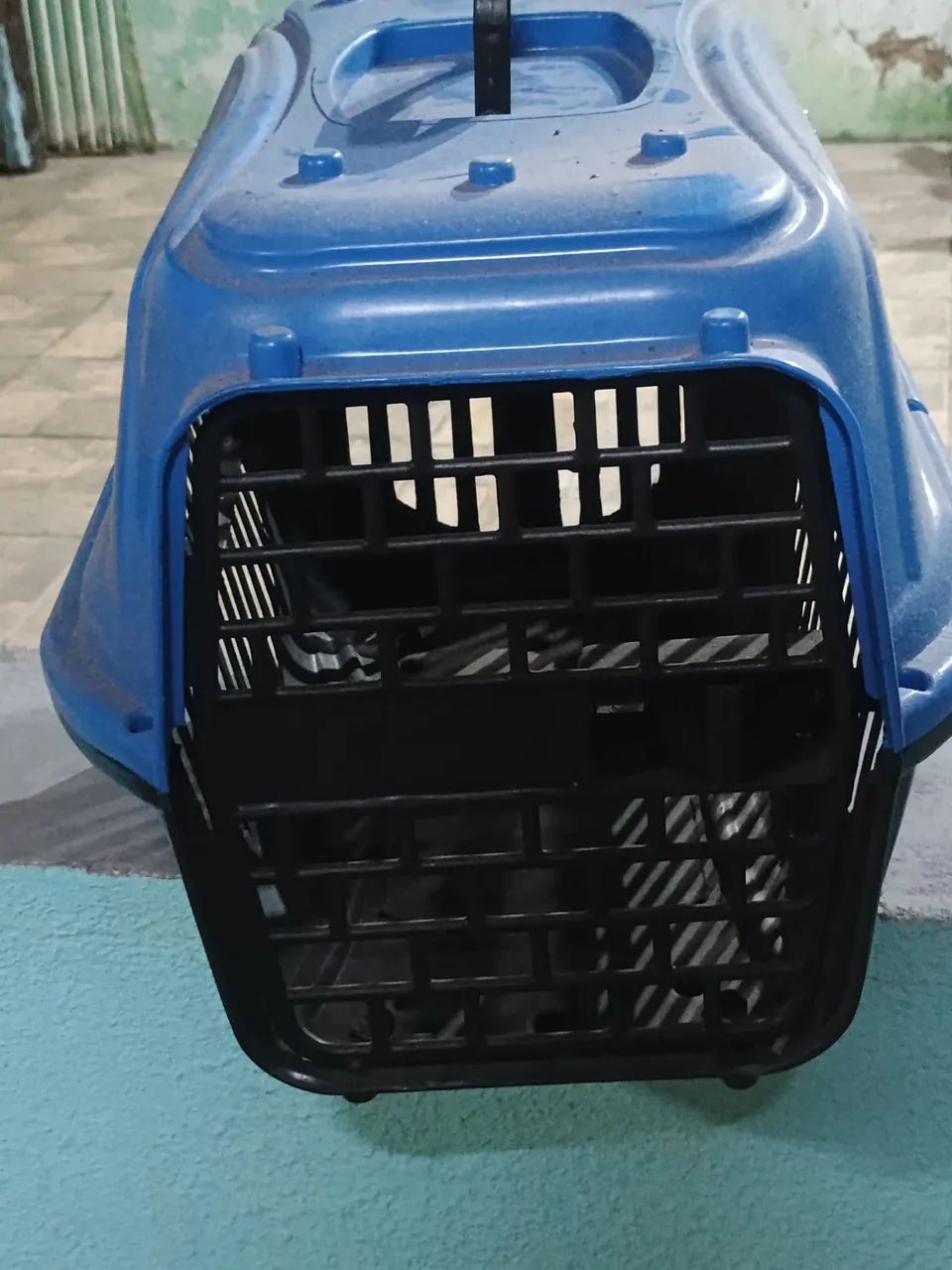 Caixa transportadora de animais 
