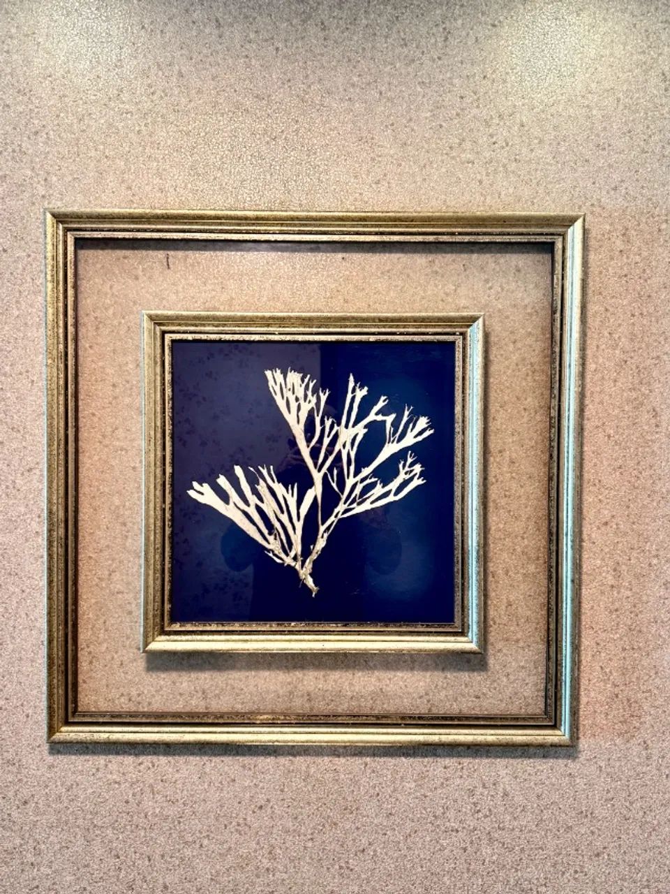 Quadro Seaweed on Navy II