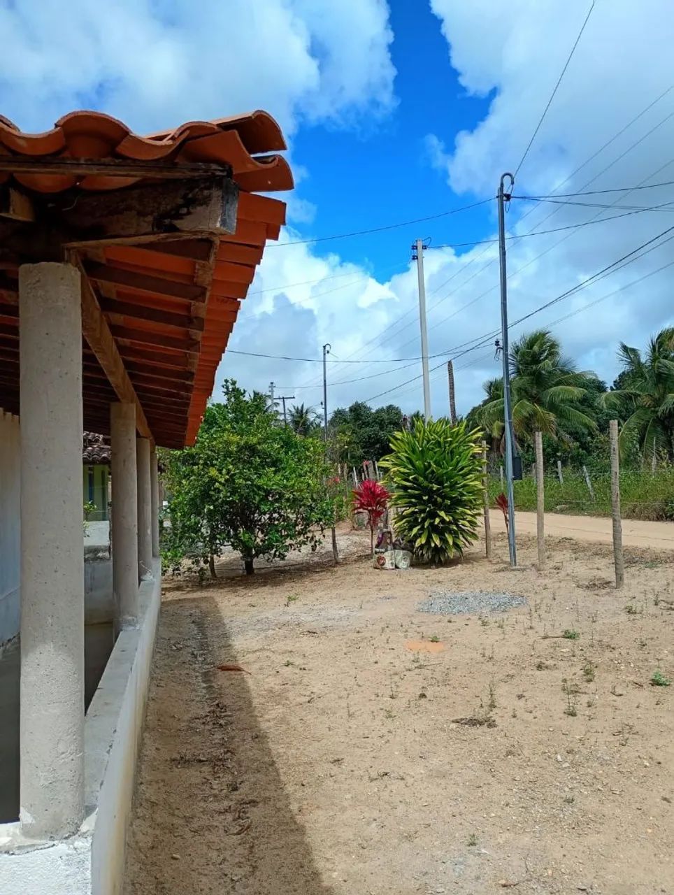Terreno com casa, área externa e plantações 