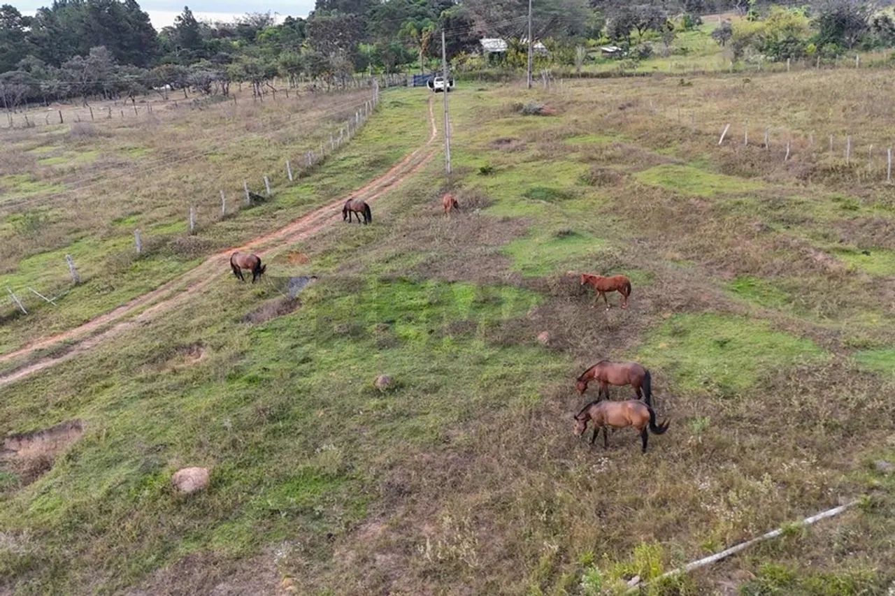 FAZENDA EXCLUSIVA PARA EMPREENDIMENTO | SETOR TORORÓ  DF - Foto 5