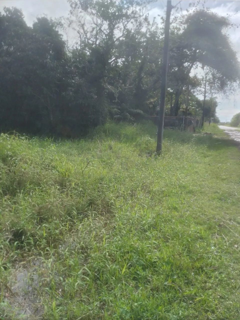 Terreno na Ilha Comprida 250m2 - Foto 4