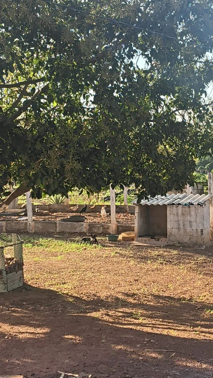 Casa - Foto 3