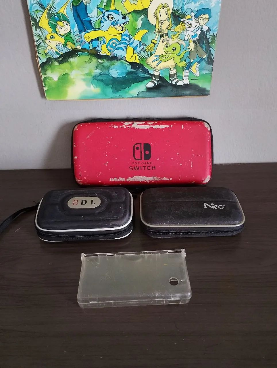 Case Nintendo 