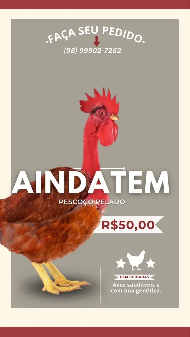 Vendo caipirao de corte  - Foto 2