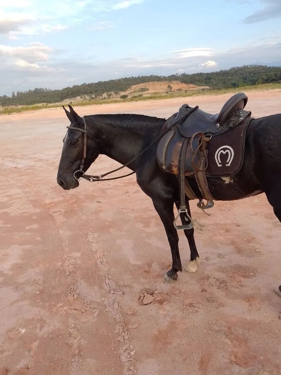Vendo égua sem papel  - Foto 2