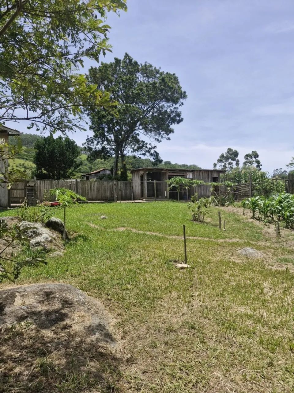 Sítio / Chácara para Venda em Imaruí, Ribeirão - Foto 2