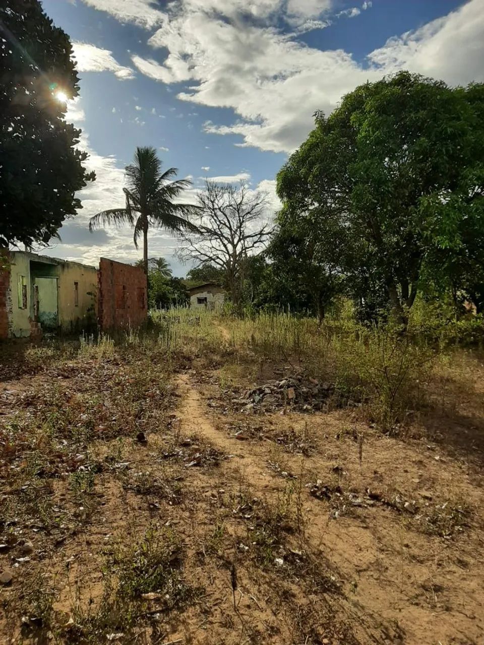 Foto - Feira de Santana - Jardim Acácia