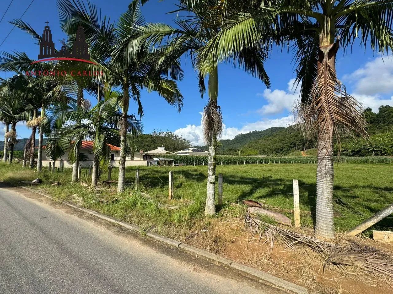 Terreno à venda, Santa Barbara - Antônio Carlos/SC - Foto 4