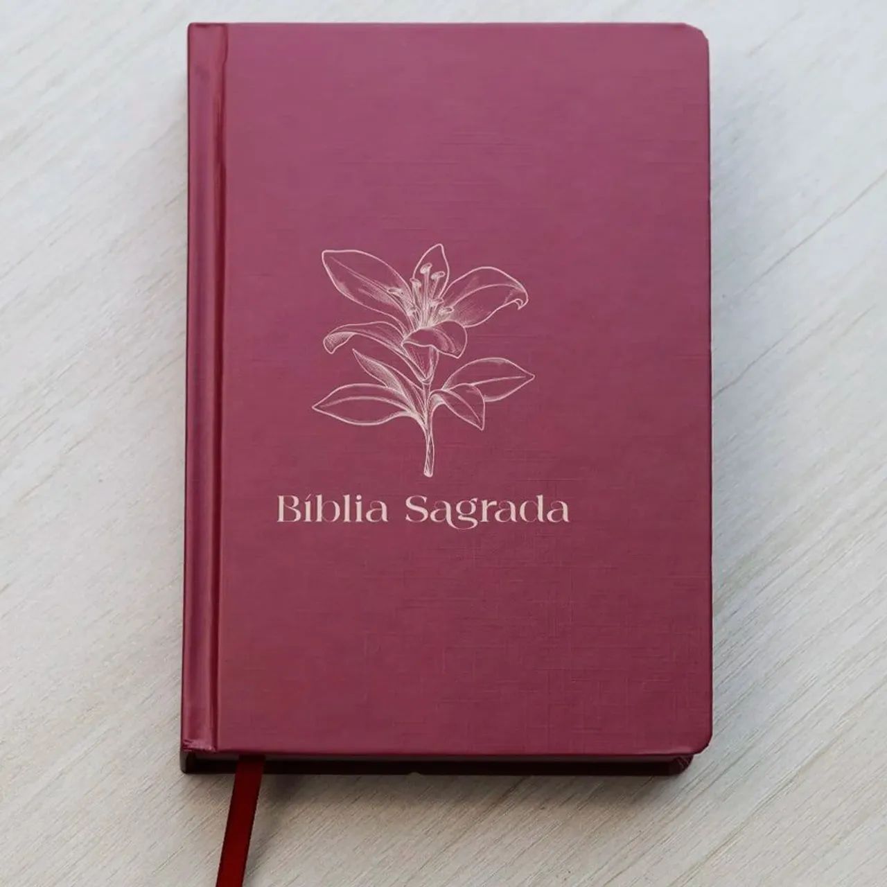 Bíblia Sagrada - Foto 3
