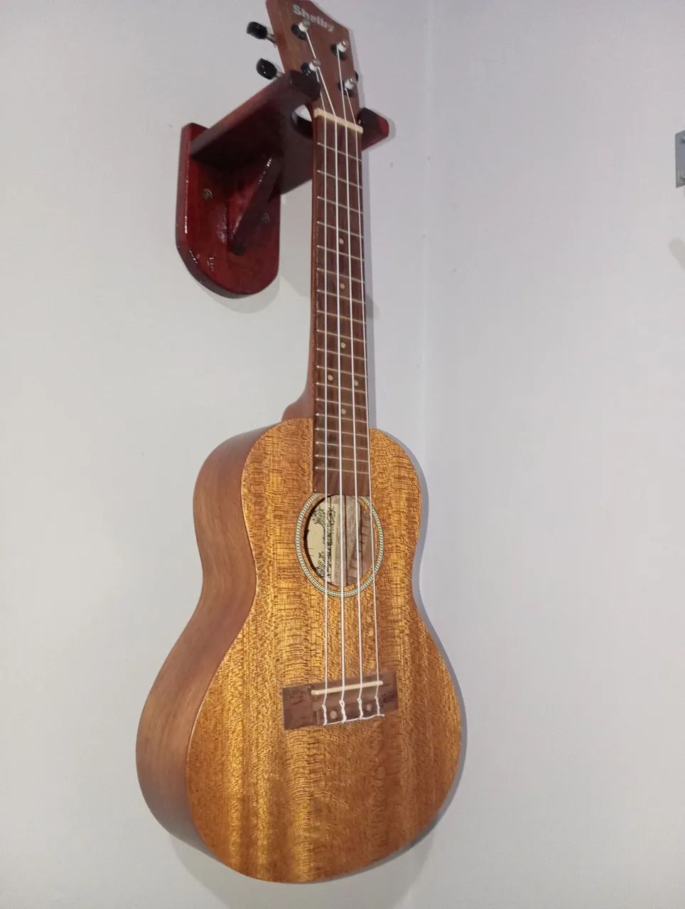 Ukulele Shelby Concert