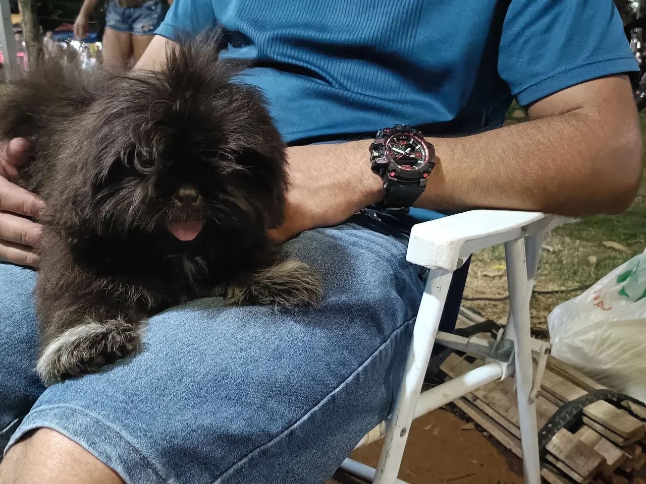 Shitzu macho mini - Foto 4