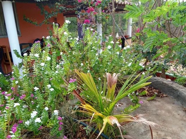 Chácara Baú - Foto 3